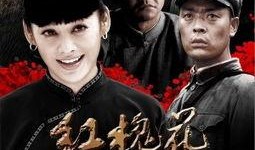 红槐花在线观看,穿越时空的浪漫传奇